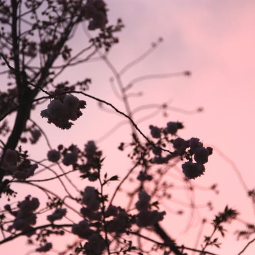 IMG_9781 - バージョン 2.JPGのサムネール画像